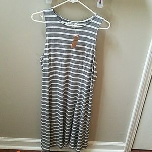 American eagle knee length dress